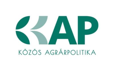 Új benyújtási szakaszok az Erdőtelepítés és fásítás támogatása pályázatban